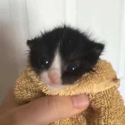 He has such a way with words...