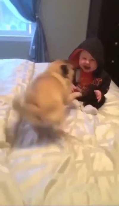 InFaNt BrUtalLy MaUleD To DeaTh By RaBid DoG