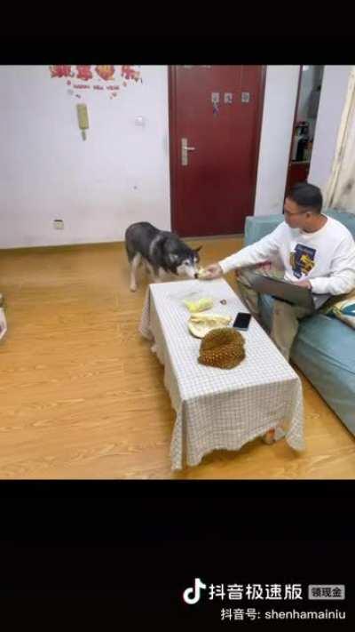 It’s durian! Do you wanna try it?