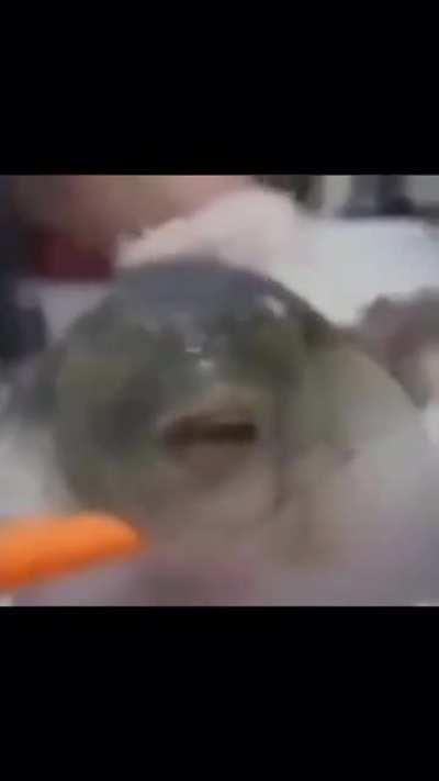 Charmx might like this