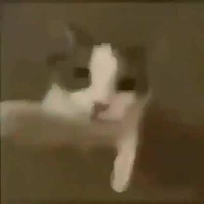 Me when I see Lilmochidoll post