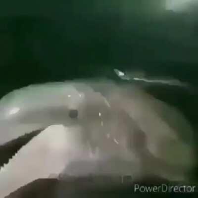 MoaiGreddit - Video #4866