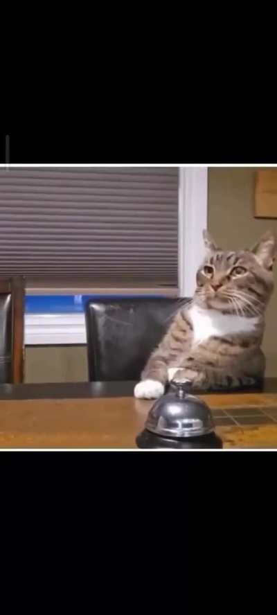 JAJA como tocaba el timbre