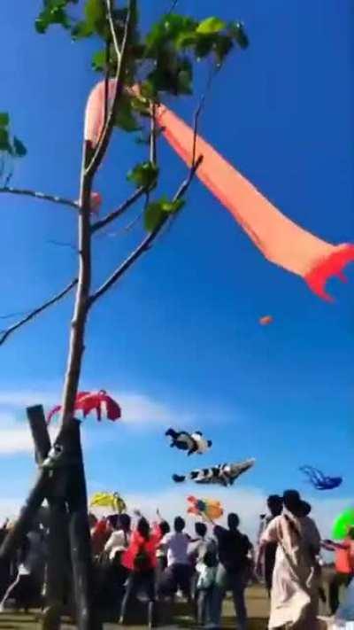 3 year old girl gets stuck in a kite ( Taiwan )