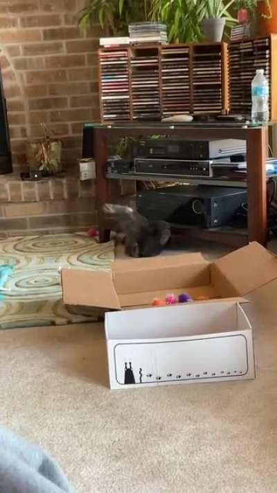 She is usually so graceful. This had me in tears