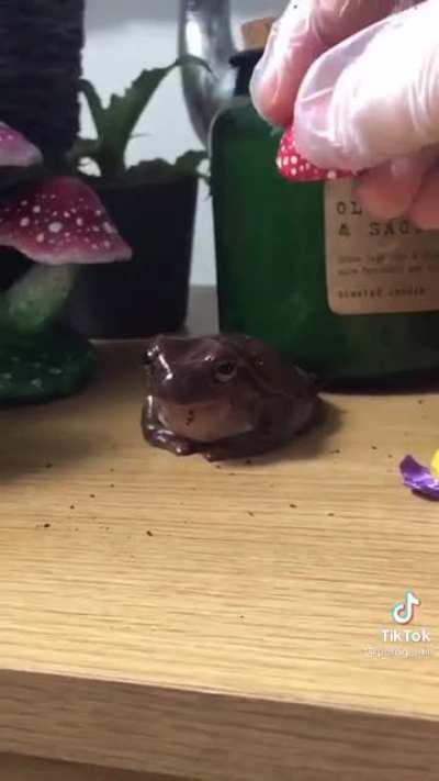 Im just going to leave this here