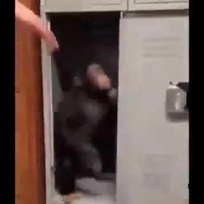 Fortnite bobbies and vergana