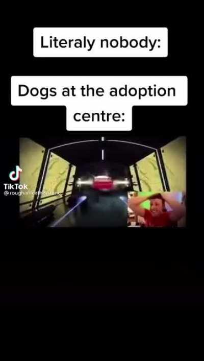 Cant stop laughing at this