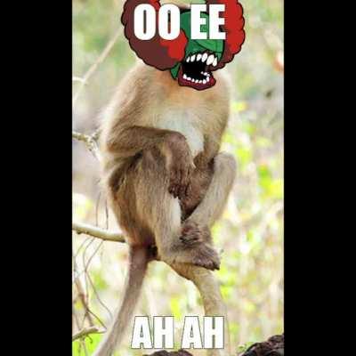 I found phase 20 fellas