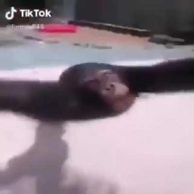 An Interesting title