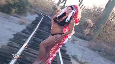 Victoria: WWE Divas Desert Heat (Video)