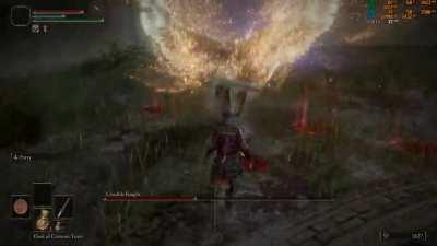 Sorry, Crucible Knight. I'm the boss here. Hhahaah