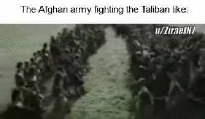 The UN will fix this guys, don't worry!