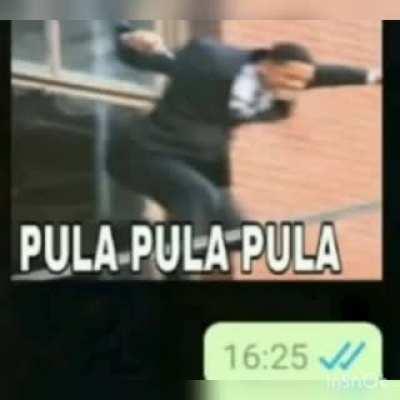 pocket pocket pocket fica de quatro 🧐🍷