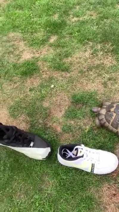 After everything else posted here, this might as well be one of them