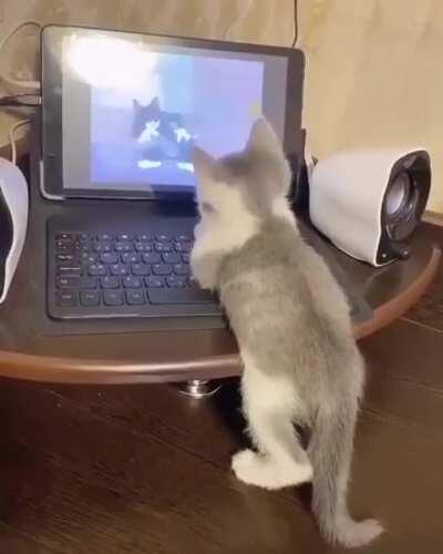 What a precious little sweetheart