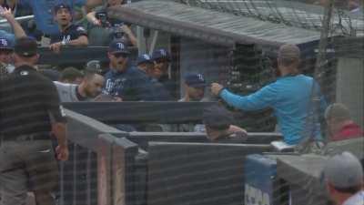 [Highlight] [NYY-TB] Gio Urshela runs full speed into the Tampa Bay dugout, Rays calling for aid as Urshela is slow to get up and leaves the game