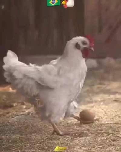 Los Pollos en Brazil