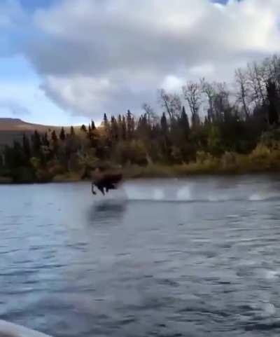 Make a path, nothing can stop me! I am needed and this is the way