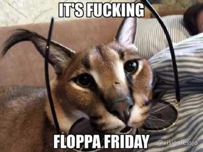 its fucking floppa friday!!!!!!