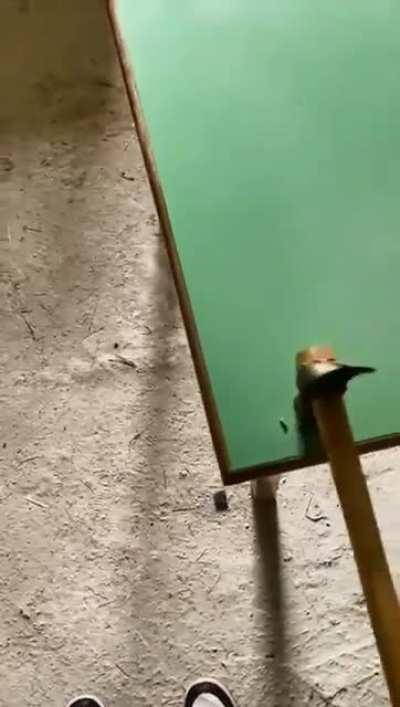 bro is regretting life choices 😭😭