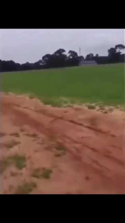 Shoulda put his head down