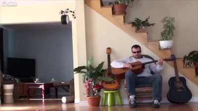 Revenge is a dish served best to the head