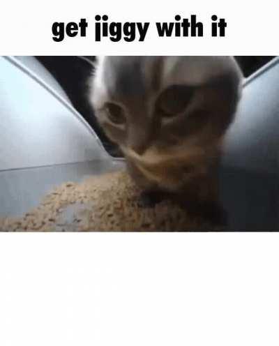 Dance with me Roomba