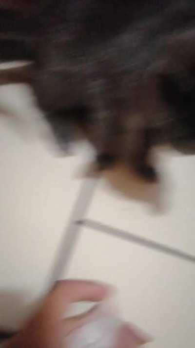 Perdon por el mini asmr que hice pero es que eran las 4:01 am