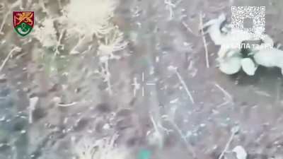 Ukrainian soldiers of the 71th Jaeger Brigade took out Russian infantry groups, enemy armored vehicles and infantry positions. Pokrovsk direction, January 2025