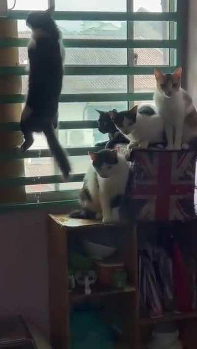 When you gotta go, you gotta go