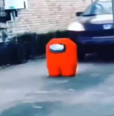 PedroDBR - Video #3834