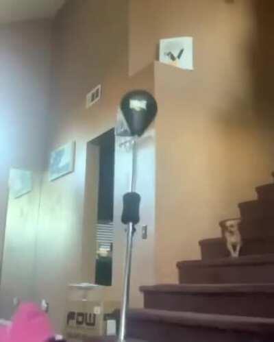 WCGW punching a ball on a flimsy pole at full force