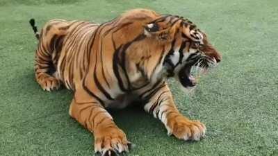 Going to need some toilet paper now