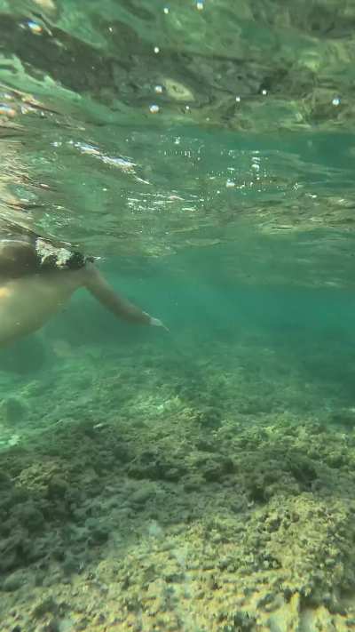 Daddy told her they'd go on a long weekend away down in the bahamas. The only rule was: No clothes and no complaining. She enjoyed her little swim in the ocean while he scheduled a 12 man gang bang. But enjoy your little swim, hun.