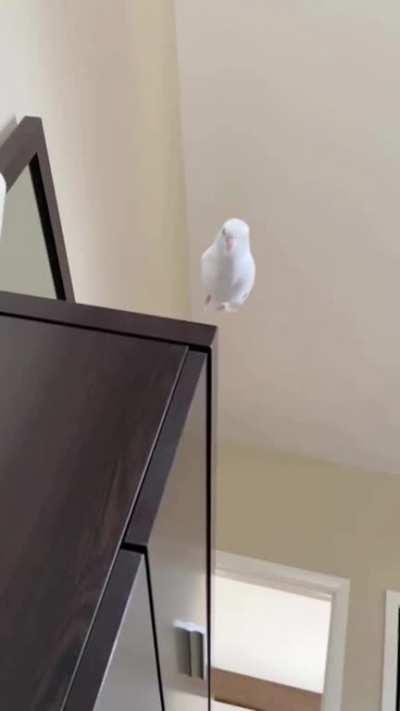 New models, testing updated ballistic patterns