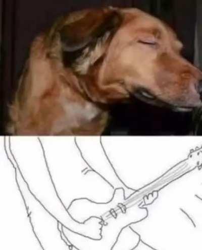 Summoned a Direwolf, and they weren't kidding, these chords are dire as fuck