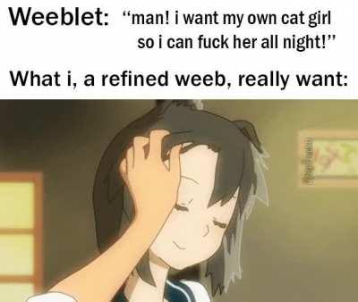 Professional weebs have standards