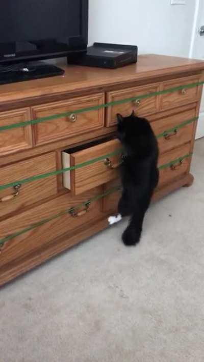 No magic can keep me from the Shadow Realm!