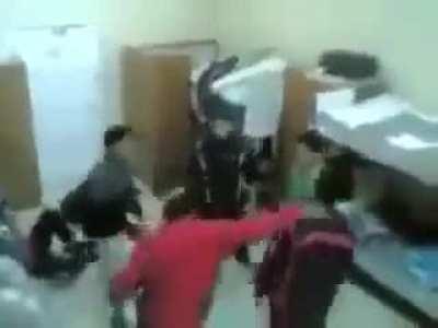 Battle royale en el beelceteam (gana SalvaGOD)