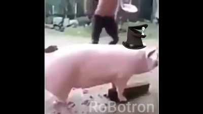 tryhard demoman dominating a f2p hoovy