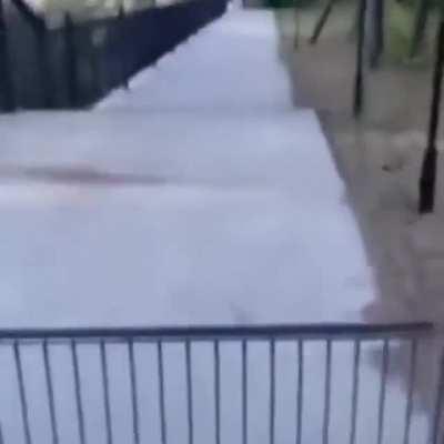 Russian kid riding a shopping cart...