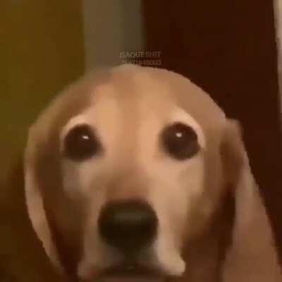 Nao precisava falar isso Sadge