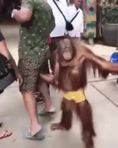 El millor buscando a la BRUIXA SNIPER en la tula de Stanixx