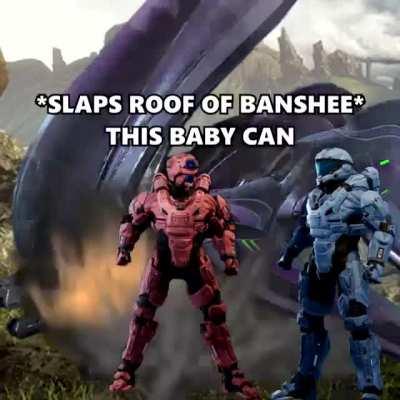 Halo Infinites Banshee