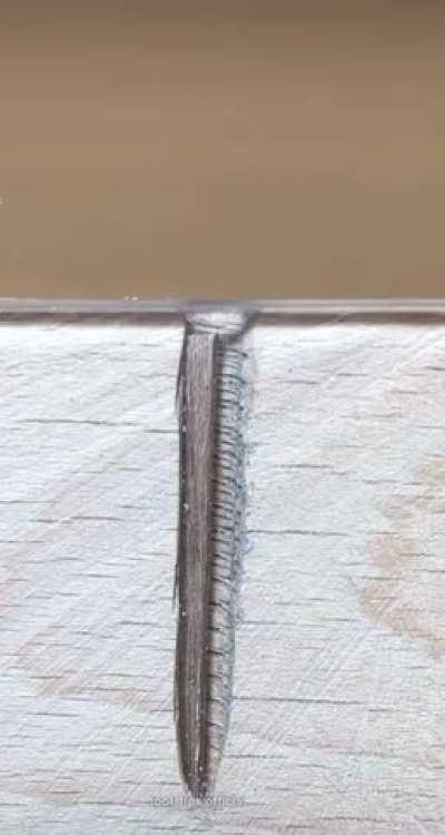 Different ideas for a loose screw