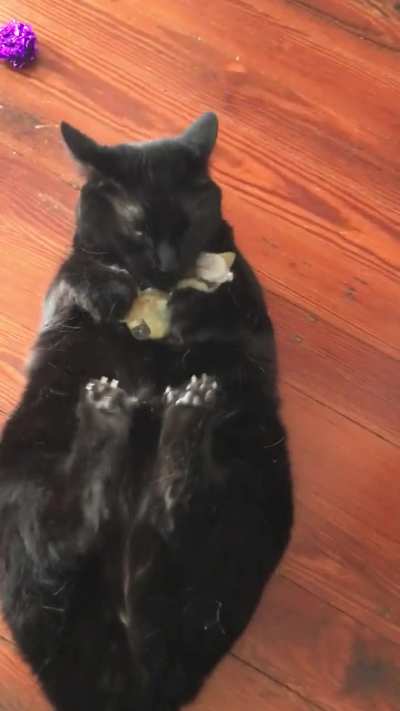 Bunsen and his mouse