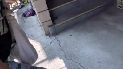 One dog viciously attacks another as it walks by. Several bystanders struggle to stop the attack.