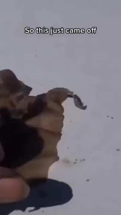 N word pass expiring