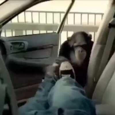 Gracias orslok por cuidar mi auto de una forma tan efectiva